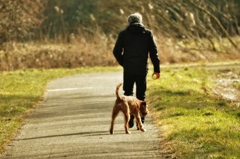 Walking dog to reduce anger